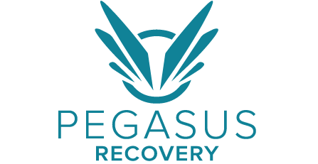 Launch Sponsor Pegasus3